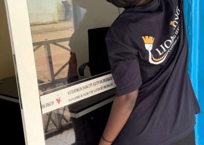 Lion King cleaner cleaning windows